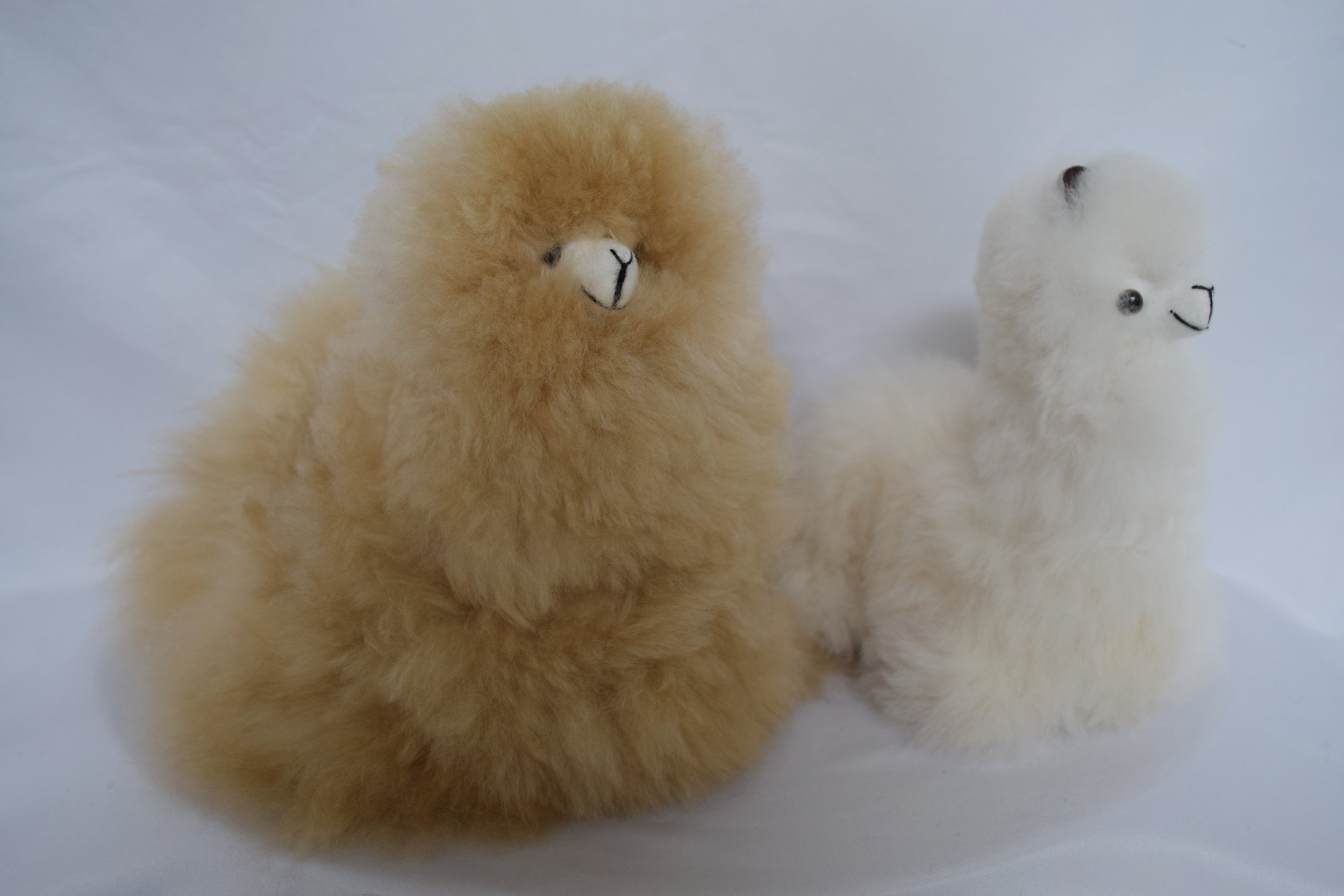 Cushed Alpaca
