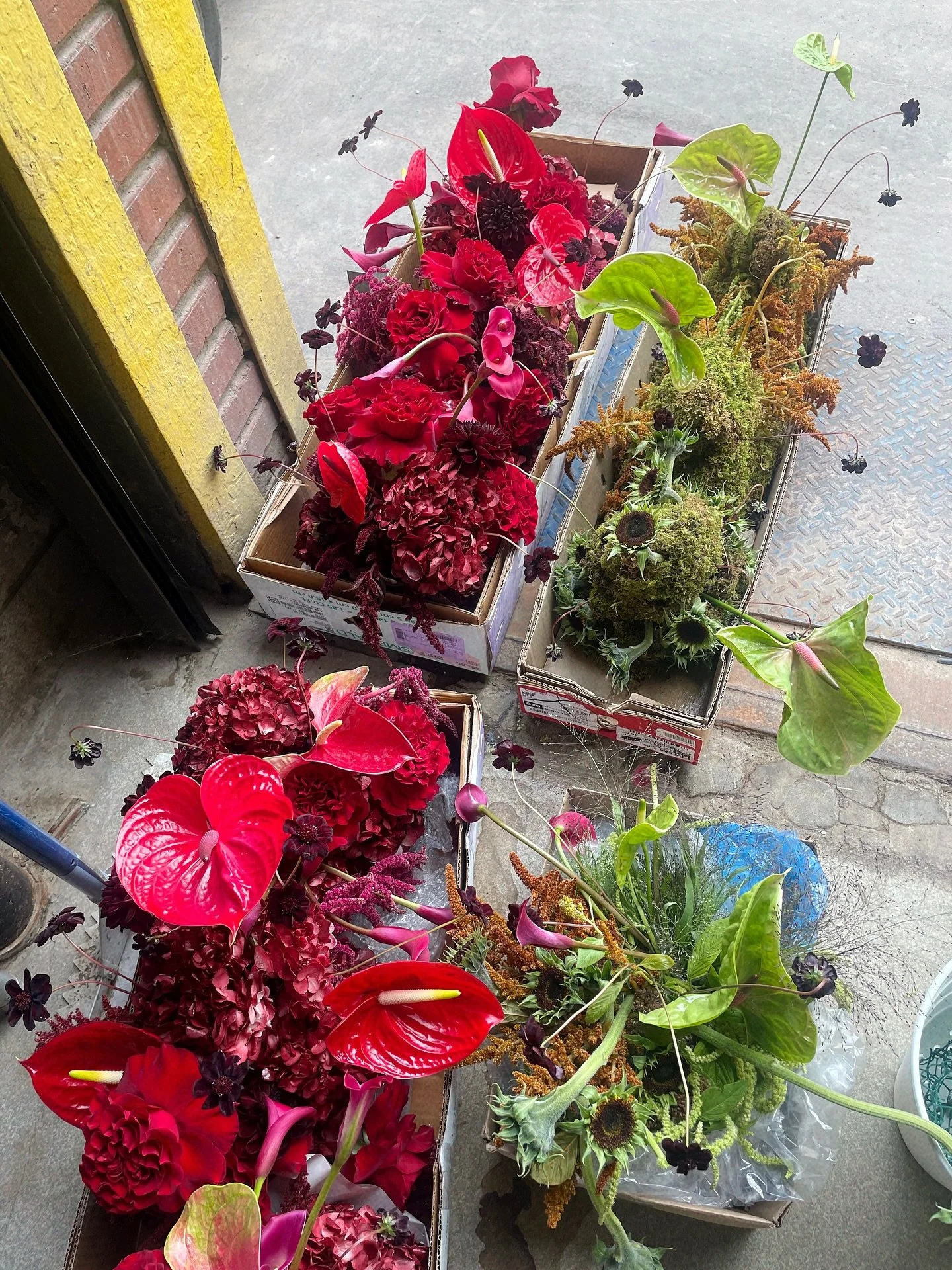 A tale of two evenings ❤️💚 
.
.
#thecottagerose #kansascityflorist #kansascitywedding #destinationweddingflorist #modernflorals #modernweddingflowers #callalilywedding #fallweddinginspiration