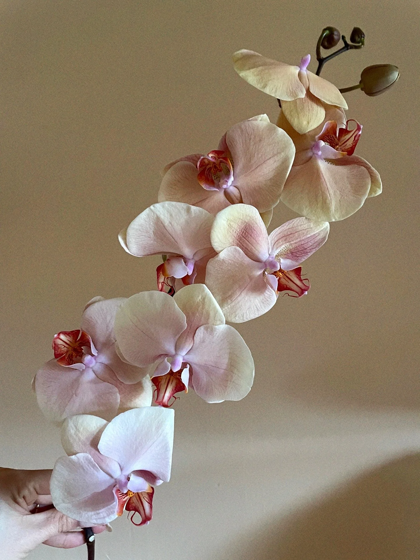 October pics 🧡
.
.
#thecottagerose #kansascityflorist #destinationweddingflorist #kansascitywedding #fallootd #floristlife #octoberwedding #modernflorals #modernweddingflowers