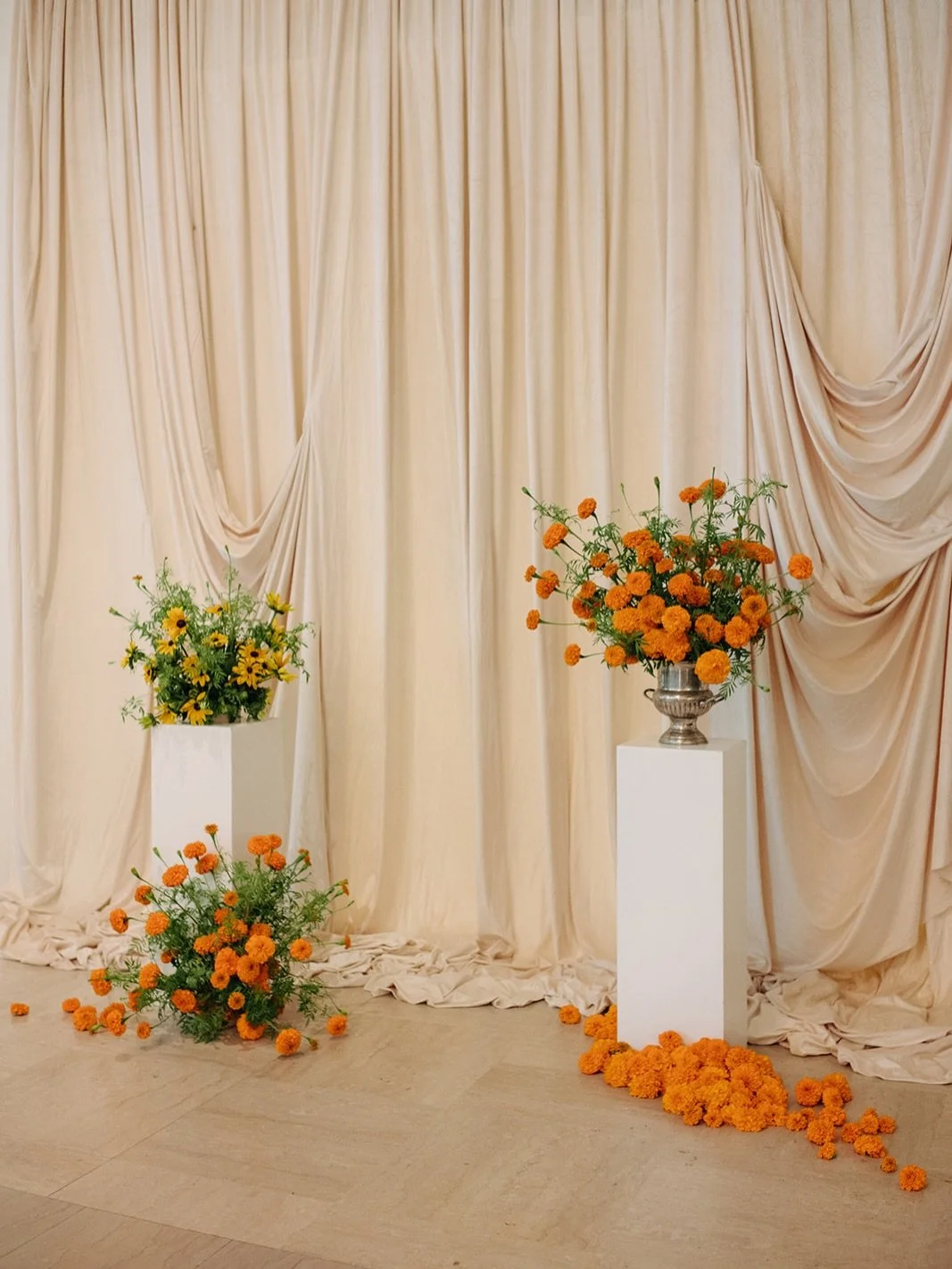 The sunniest, happiest ceremony @kclibrary from this past September with @wildlyyourscreativestudio 🧡 

One of my 2026 goals is to share more actual photos from the amazing photographers we work with, not just my phone pics. So why not start now so 