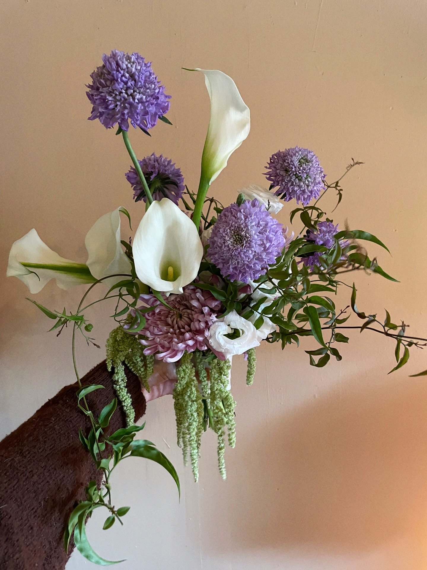 Modern, sculptural, a lil drapy, white, green and a pop of purple 💚🤍💜 #thecottagerose #ferrellholdingflowers 
.
.
Kansas City wedding florist | elopement bouquet | petite bridal bouquet | calla lilies | amaranth | modern wedding flowers