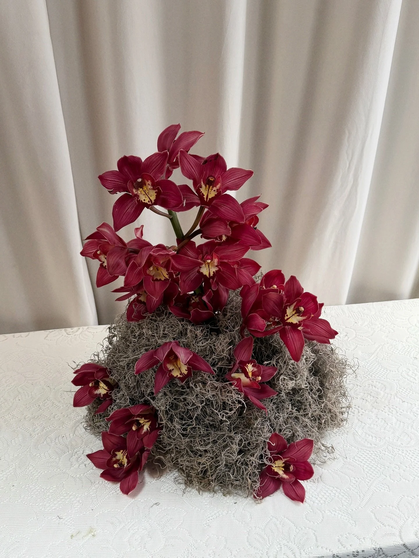 A Spanish moss, cymbidium orchid combo ❤️

The perfect juxtaposition of texture and tone with shape and structure. 

Looking for something similar for your wedding or event? Link in bio to inquire 🤎 #thecottagerose 
.
.
Kansas City wedding florist |