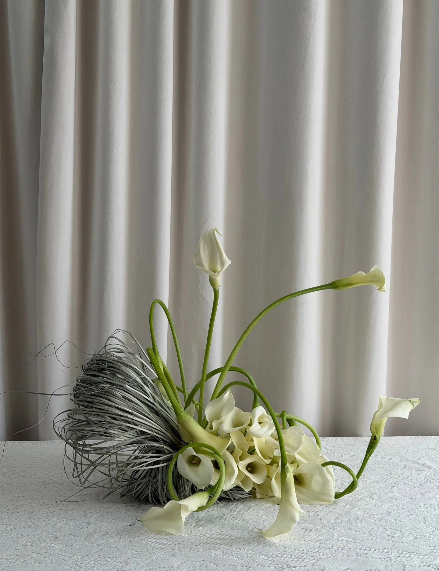 Curly q callas with dried grasses/curly q callas without dried grasses 🤍

Which do you prefer?! 

#thecottagerose | Kansas City wedding florist | calla lily wedding | sculptural floral arrangement | modern flowers | grass trend