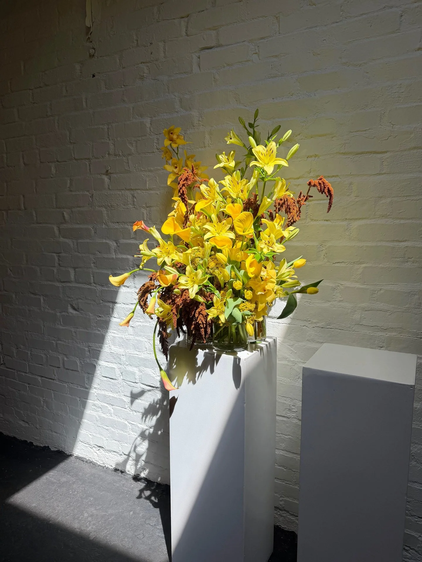 Before the new branding shoot prep 
.
.
#thecottagerose | Kansas City wedding florist | modern florals | flower shop front | nail inspo | florist life | grass trend | floral installation | foraged branches | curly calla lilies