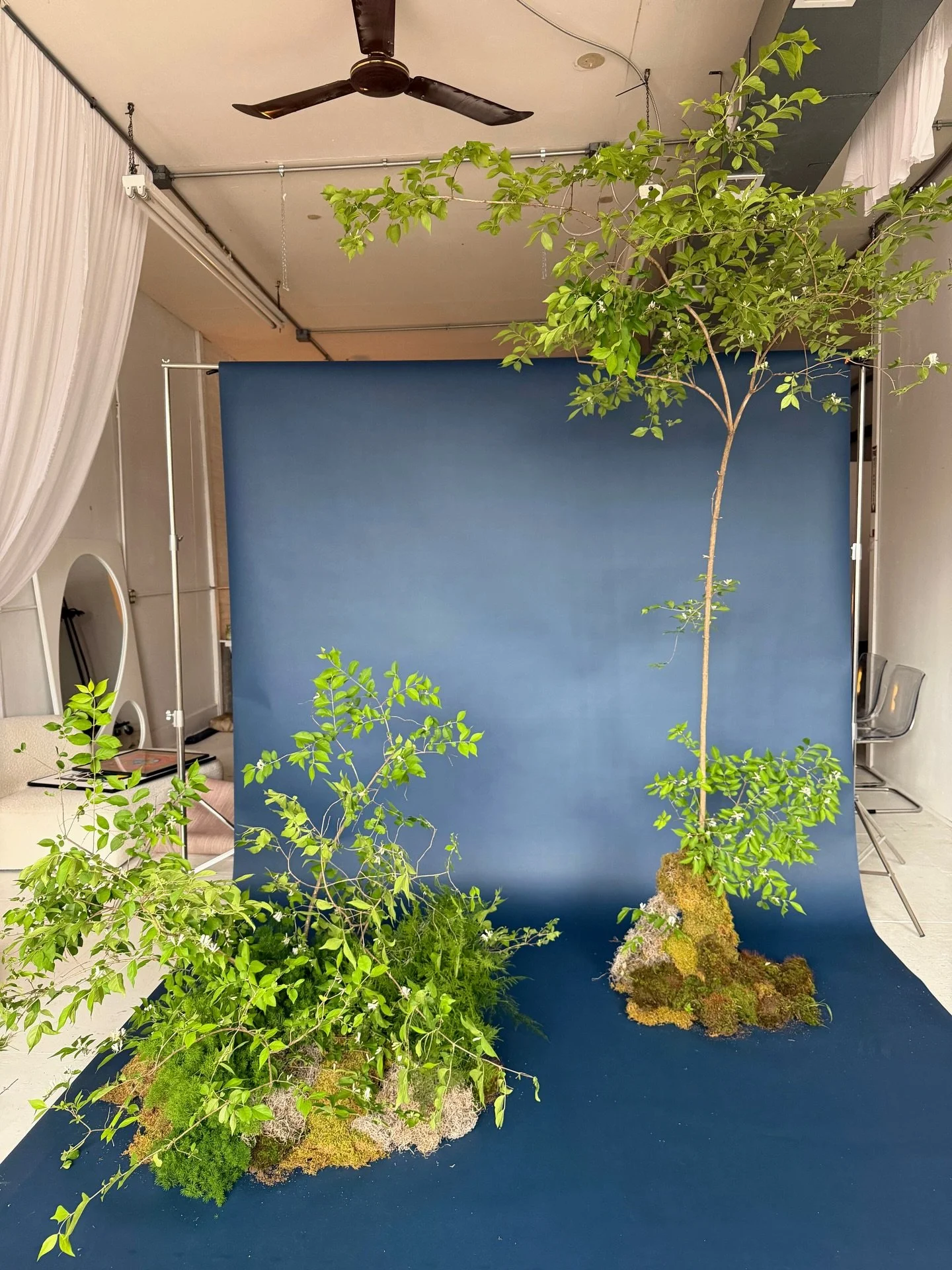 April bts 🌷 
.
.
#thecottagerose | Kansas City wedding florist | modern florals | florist life | modern flower arrangements | florist ootd | Aries season | spring wedding inspiration