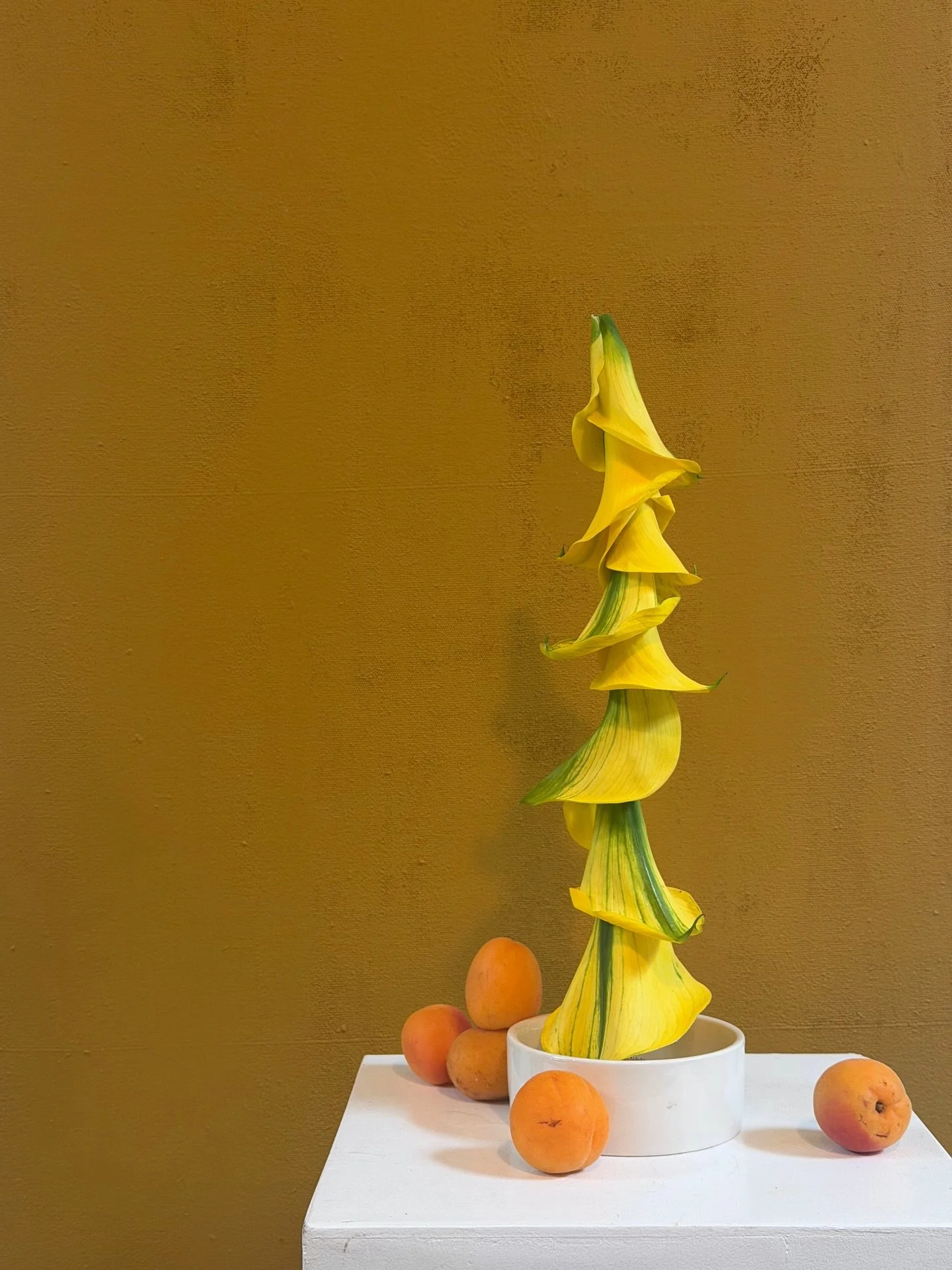 Still obsessed with calla lily towers 🍌🍊
.
.
Kansas City wedding florist | modern florals | calla lily wedding | ikebana inspired | spring wedding inspiration