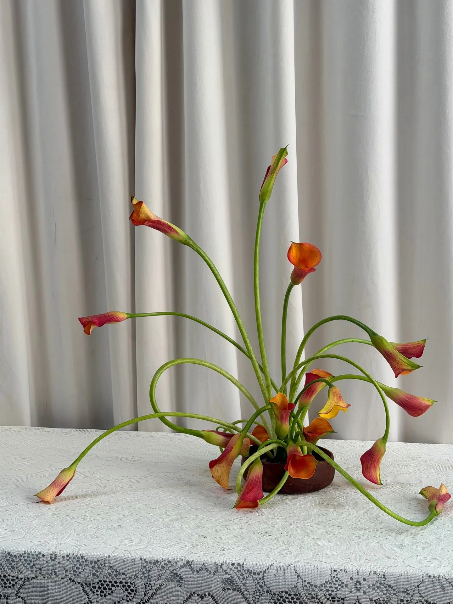 Curly q calla lilies as sculptural floral art 🧡

I love that this calla lily trend is lasting so long in the flower world. They are so fun to play with and they create such beautiful shapes. 

What do you think?! Are you sick of callas or here for t