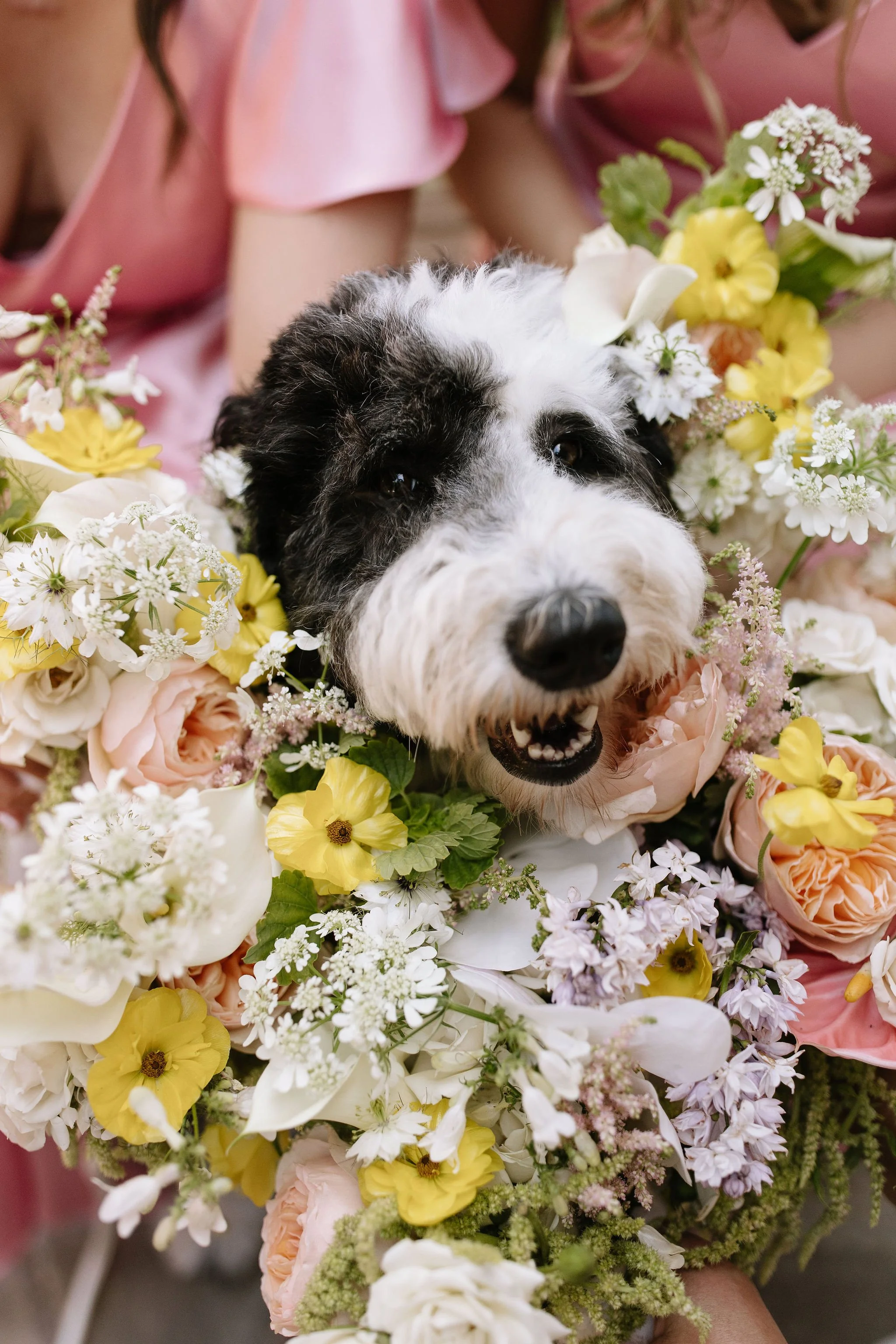 modern spring garden wedding warm color palette yellow peach lilac the cottage rose kansas city florist crossroads powell garden ceremony dog flowers bridemaids bouquets