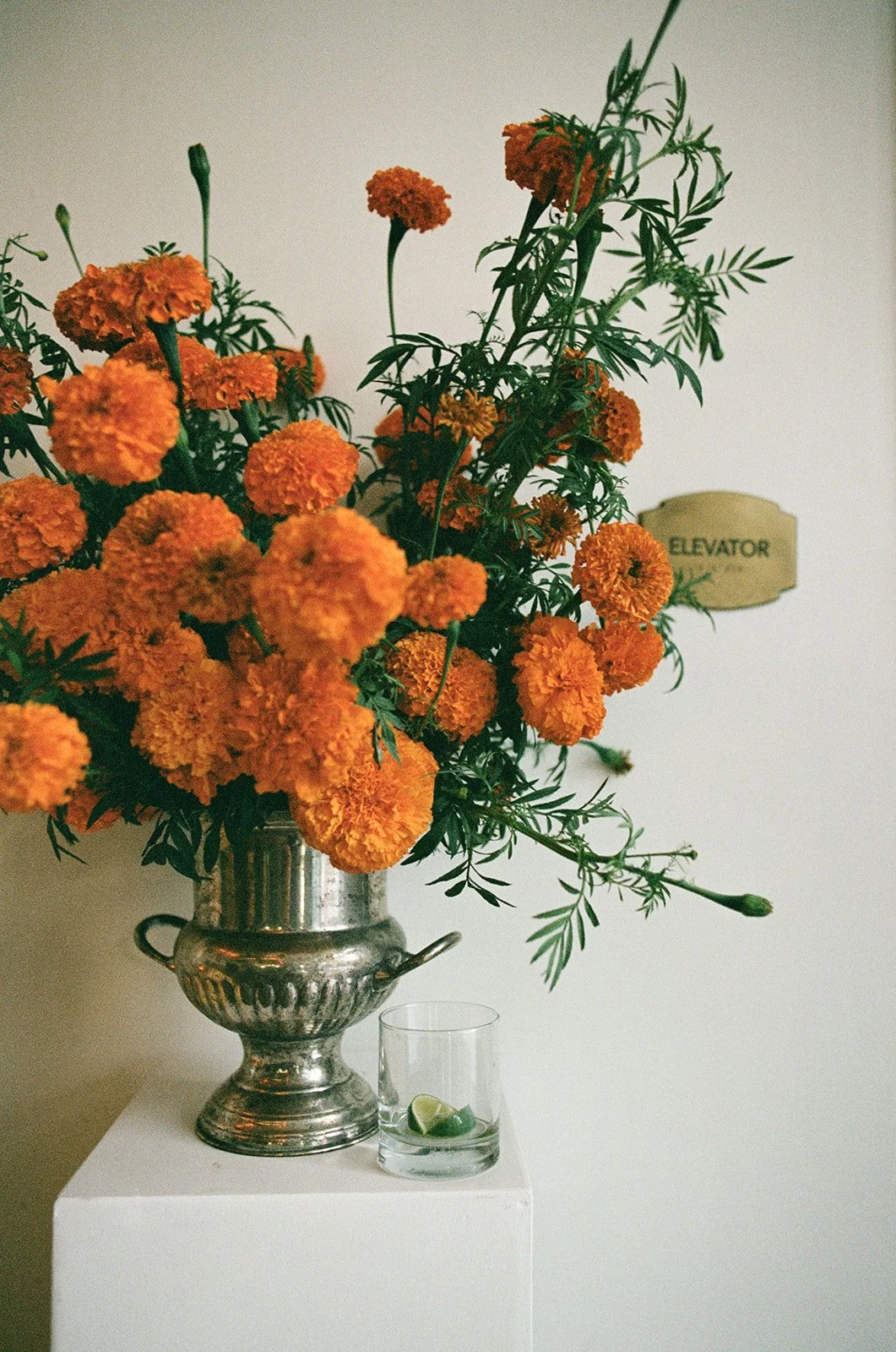Marigold focal point arrangement in a silver urn repurposed from the ceremony september wedding