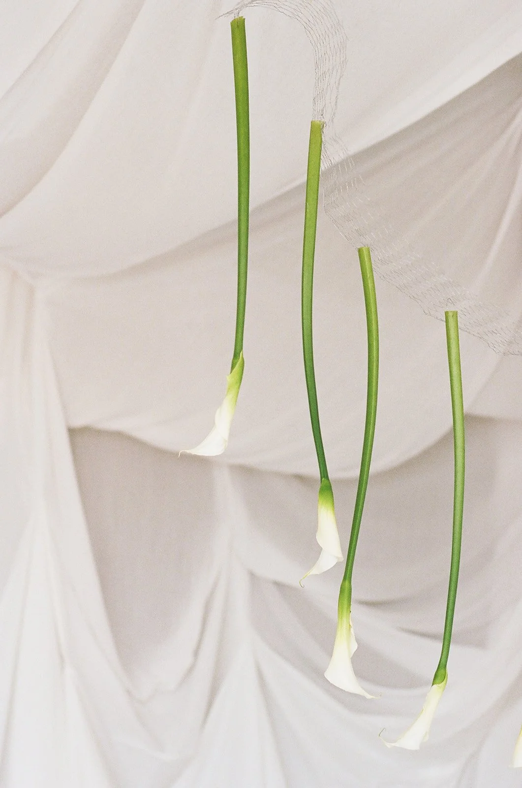 Chic Modern Baby Shower in a Cloud with layers of white draped fabric, simple calla lily centerpieces,  silver candlesticks, hanging floral installation the cottage rose kansas city florist crossroads