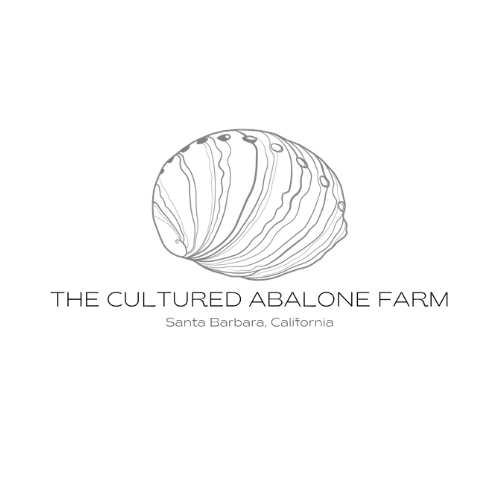Template. Fit to the outside edge (3).png