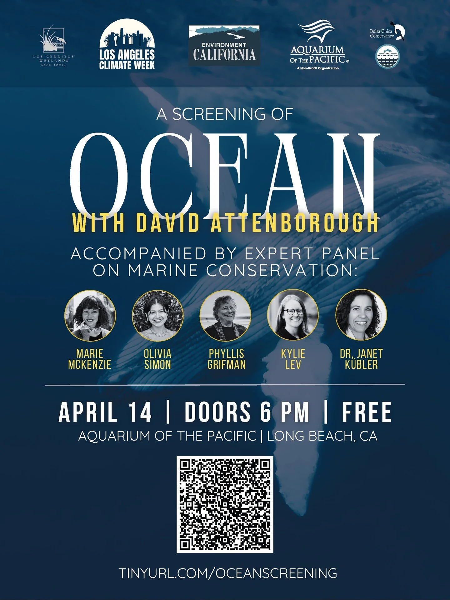 Come out for an epic screening of Ocean with David Attenborough accompanied by an expert panel discussion on marine conservation, with CSF Founder Dr Kubler.

https://www.eventbrite.com/e/ocean-with-david-attenborough-film-screening-expert-panel-tick