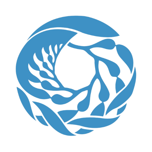 monterey bay.png