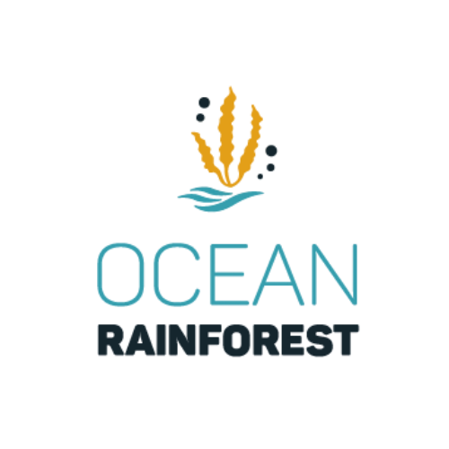 smaller ocean rainforest.png