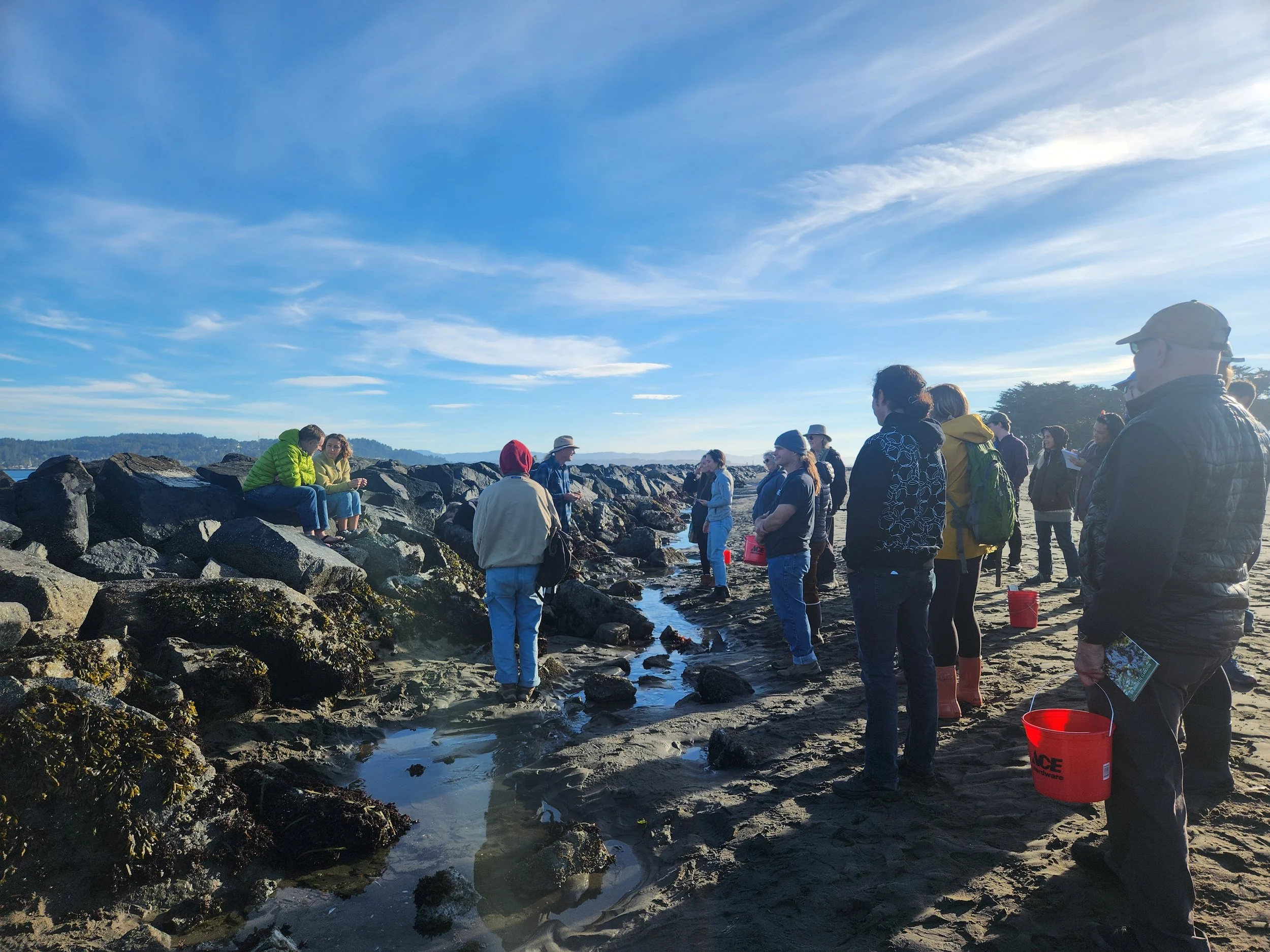 Group of people standing and sitting on rocks by the ocean, some holding red buckets, under a clear blue sky.