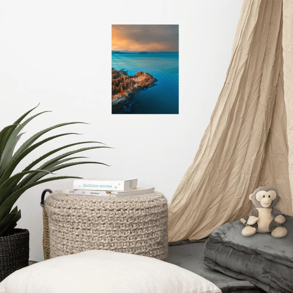 enhanced-matte-paper-poster-(in)-12x16-front-623d51f578023.jpg