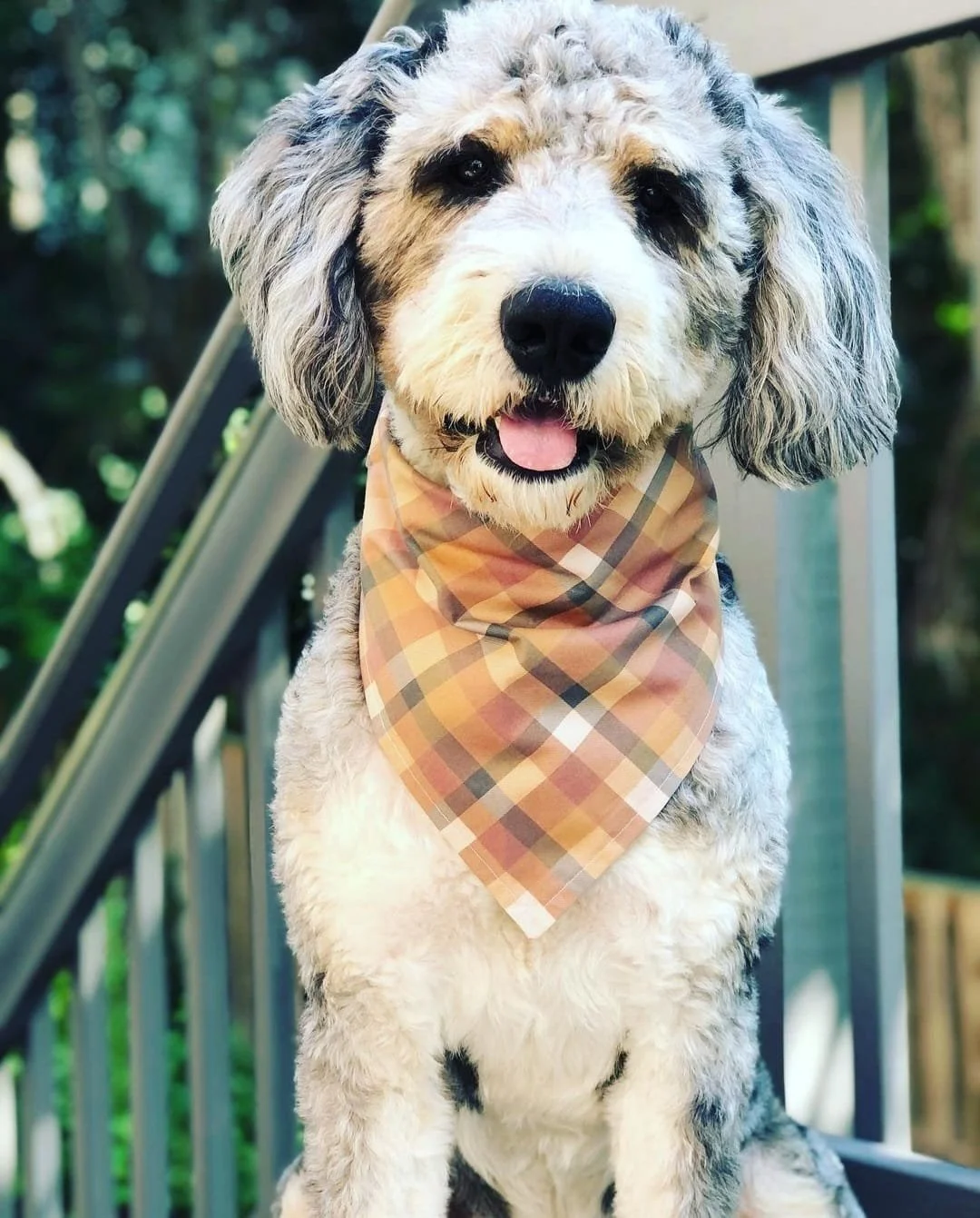 pup fall bandana.jpg
