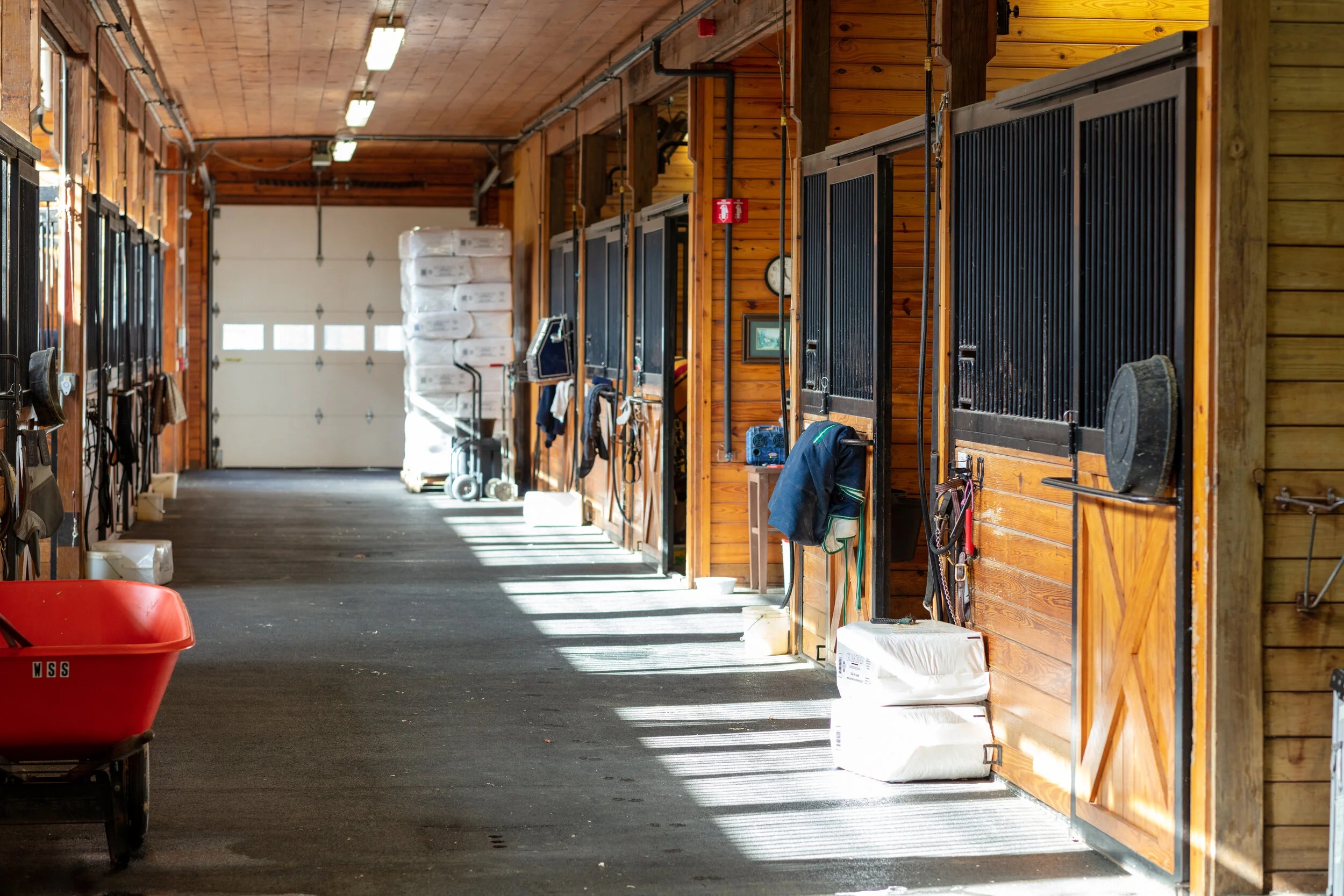 Windsor Show Stables Commercial Interior Design — Kellie Burke Interiors