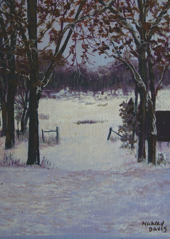 Winter Walk