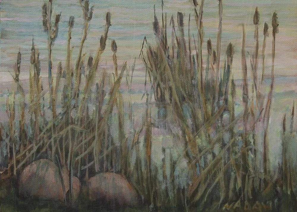 Cattails