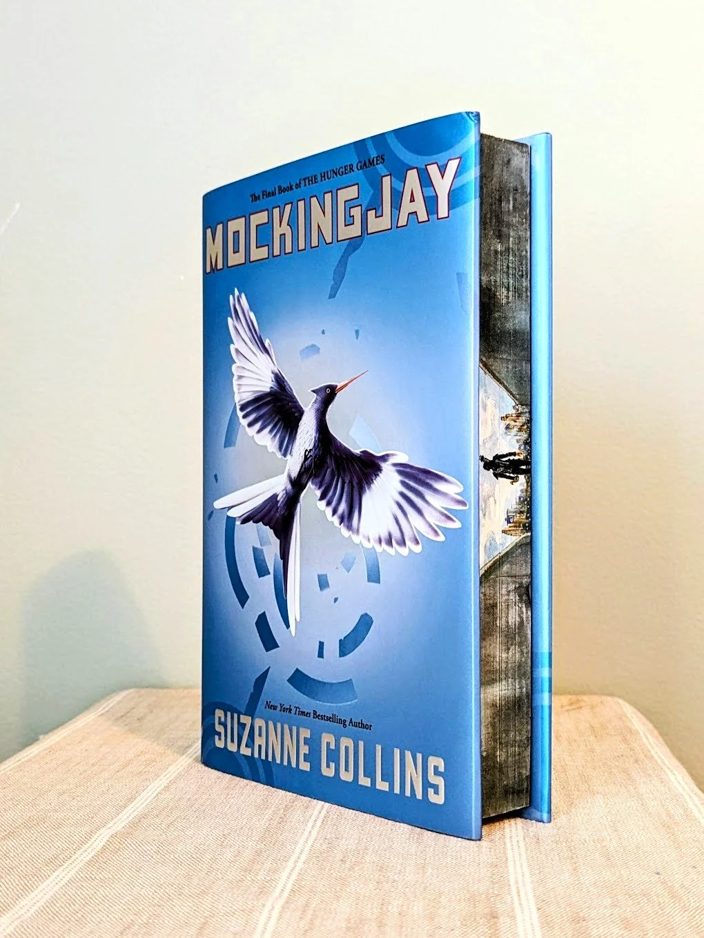 Howard_Mockingjay_1.jpg
