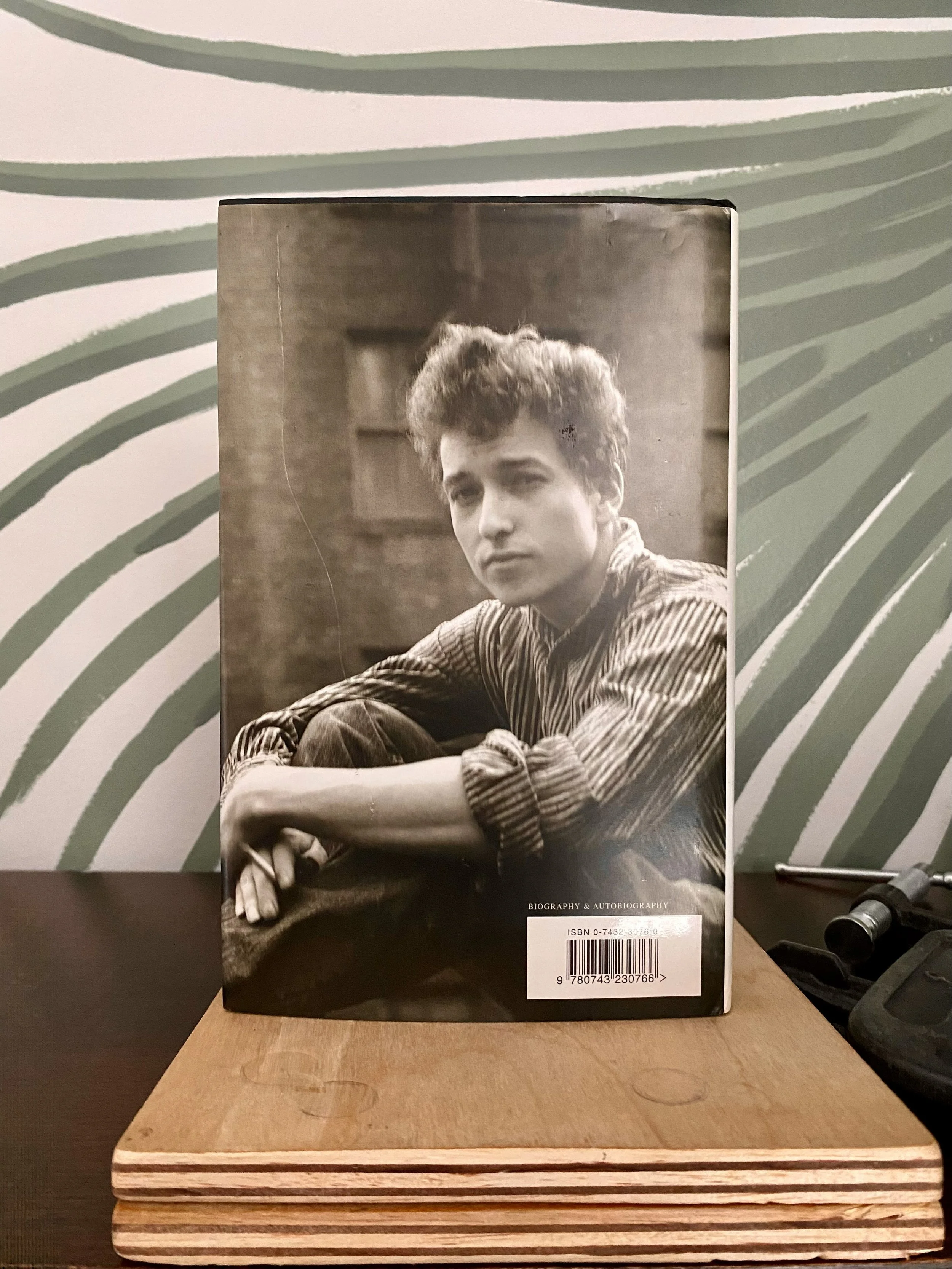 Howard_Bob Dylan Commission for Marieke_1.jpg
