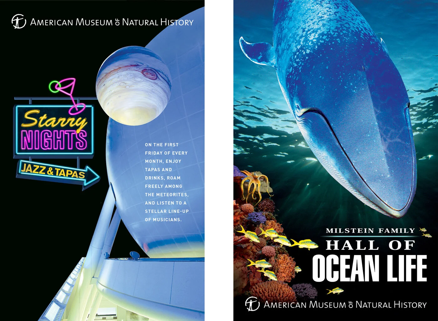 amnh-starry-ocean.jpg