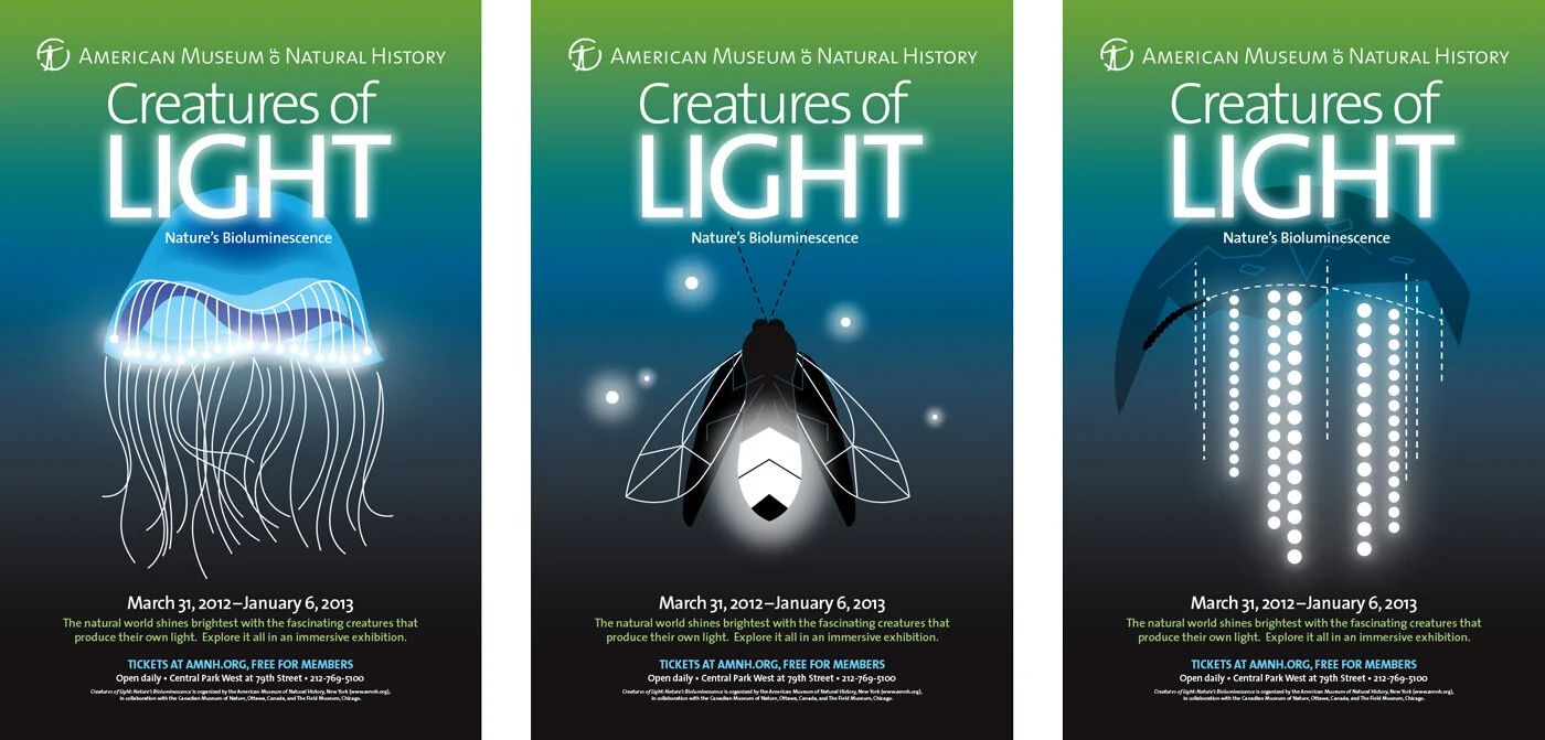 amnh-creatures-of-light.jpg