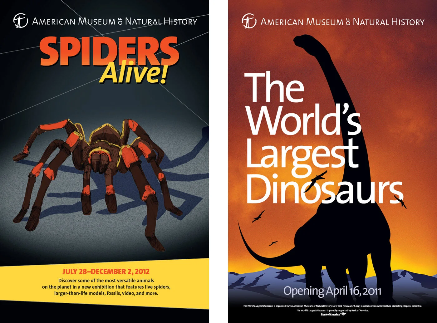 amnh-spiders-wld-web.jpg
