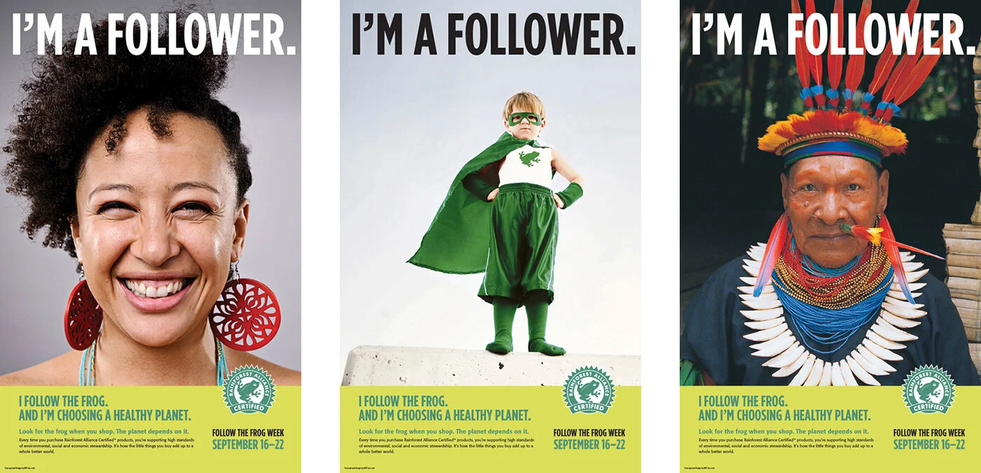 rainforest-campaign-web1.jpg