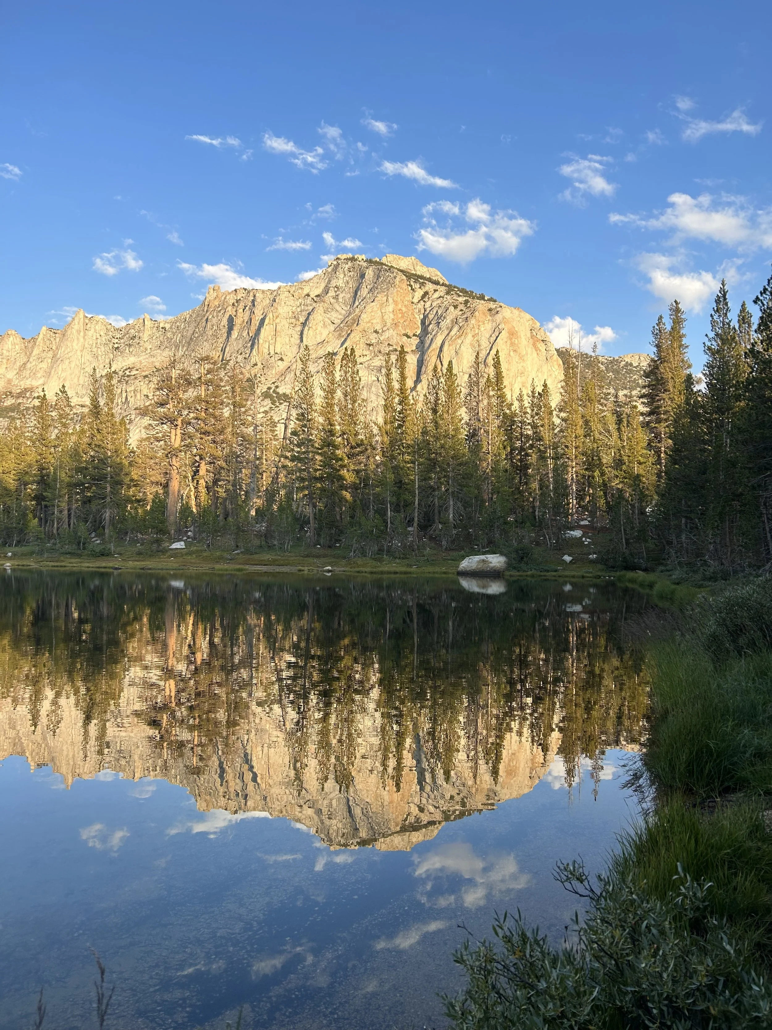 A mountain reflected in a calm lake surrounded by tall trees and grass, with a blue sky and some white clouds.
