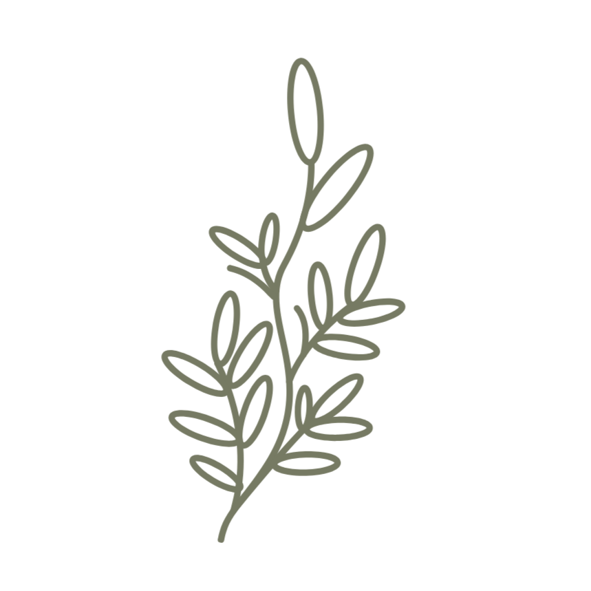 Line drawing of a sprig with leaves.