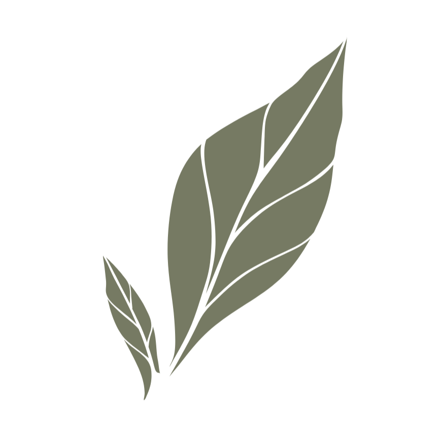 Simple illustration of a large green leaf with a smaller leaf beside it.