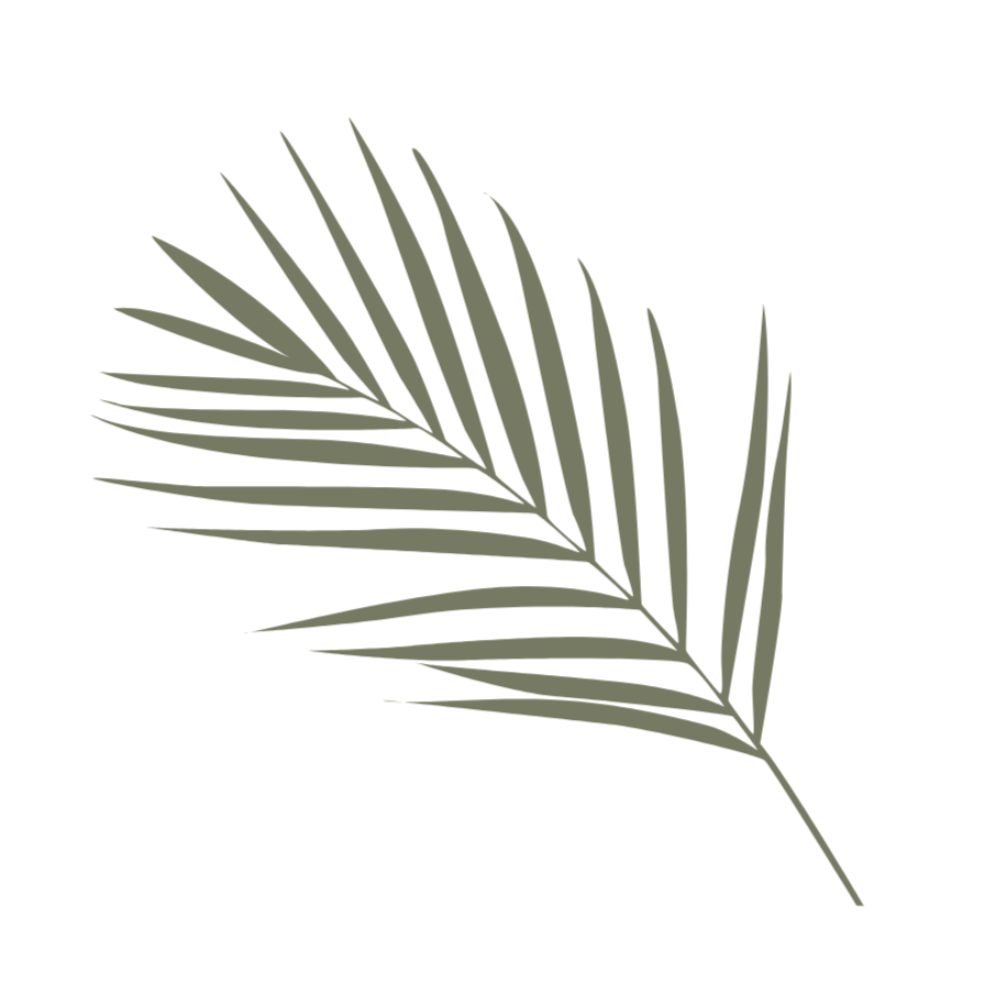 Simple illustration of a green palm leaf.