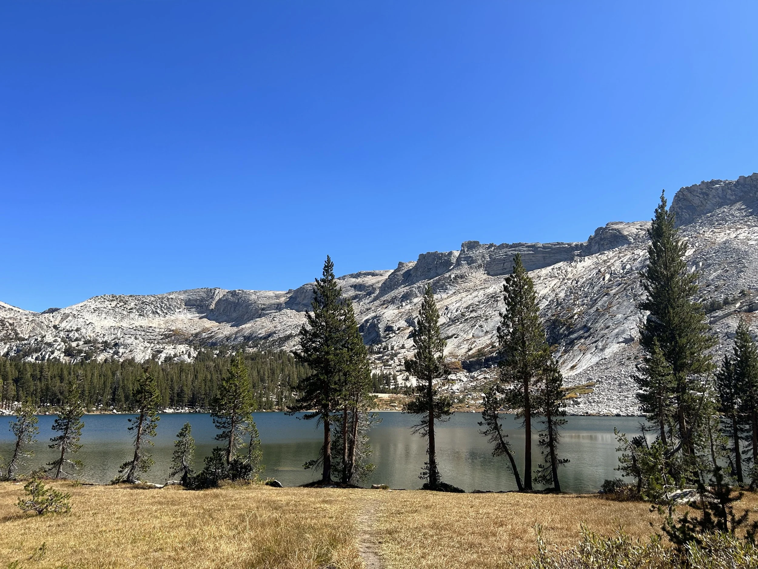 A scenic landscape of a lake surrounded by pine trees and rocky mountains under a clear blue sky.