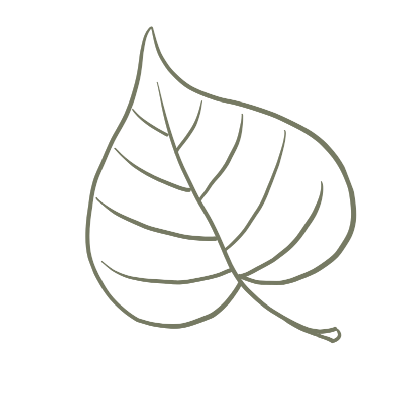 Outline of a single leaf.