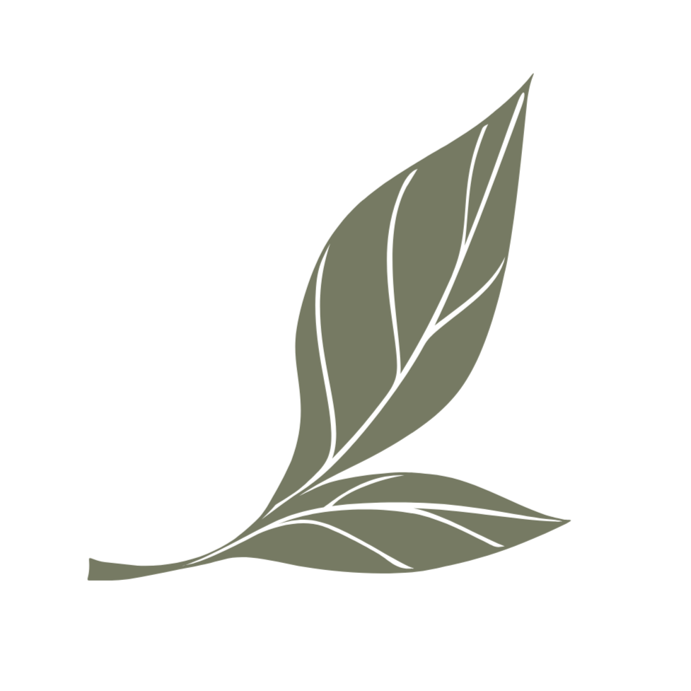 Simple illustration of a two green leaves with veins.