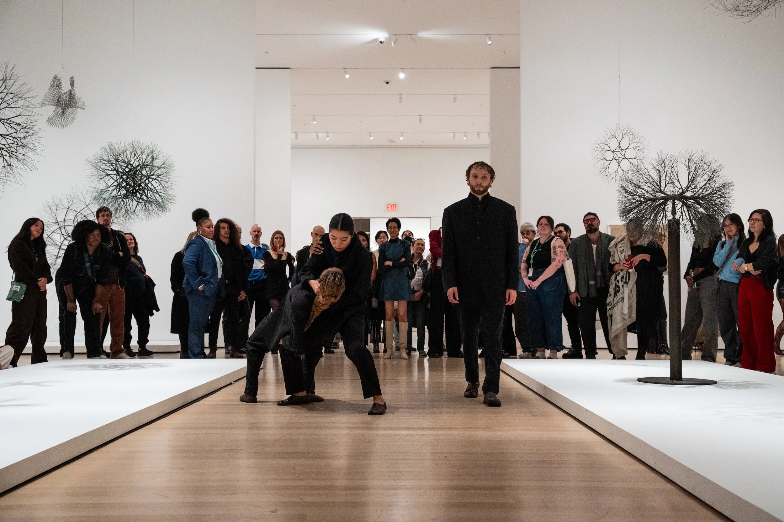 MOMA_Ruth_Asawa_251122_0094.JPEG
