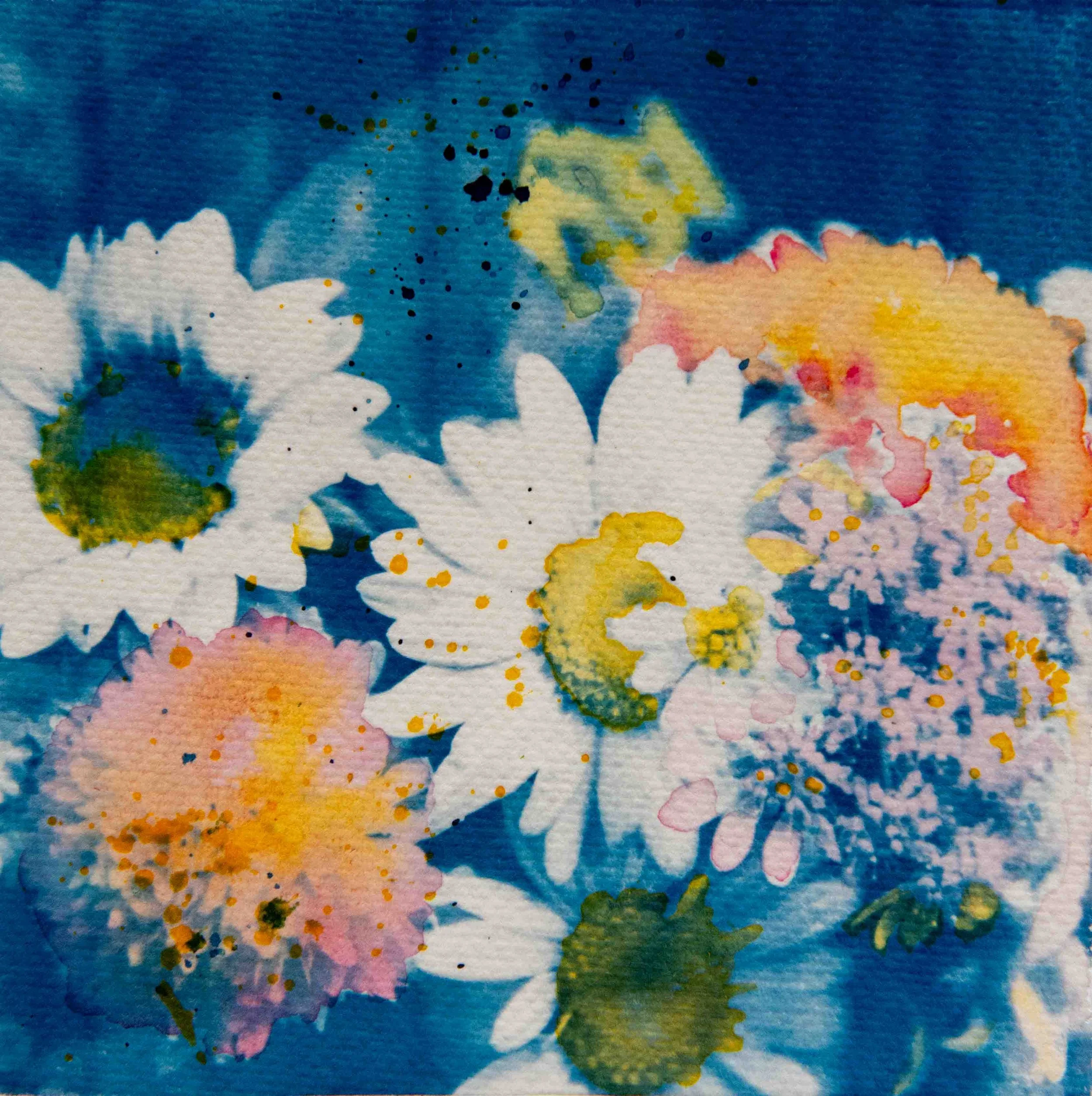 cyanotypes-18.jpg