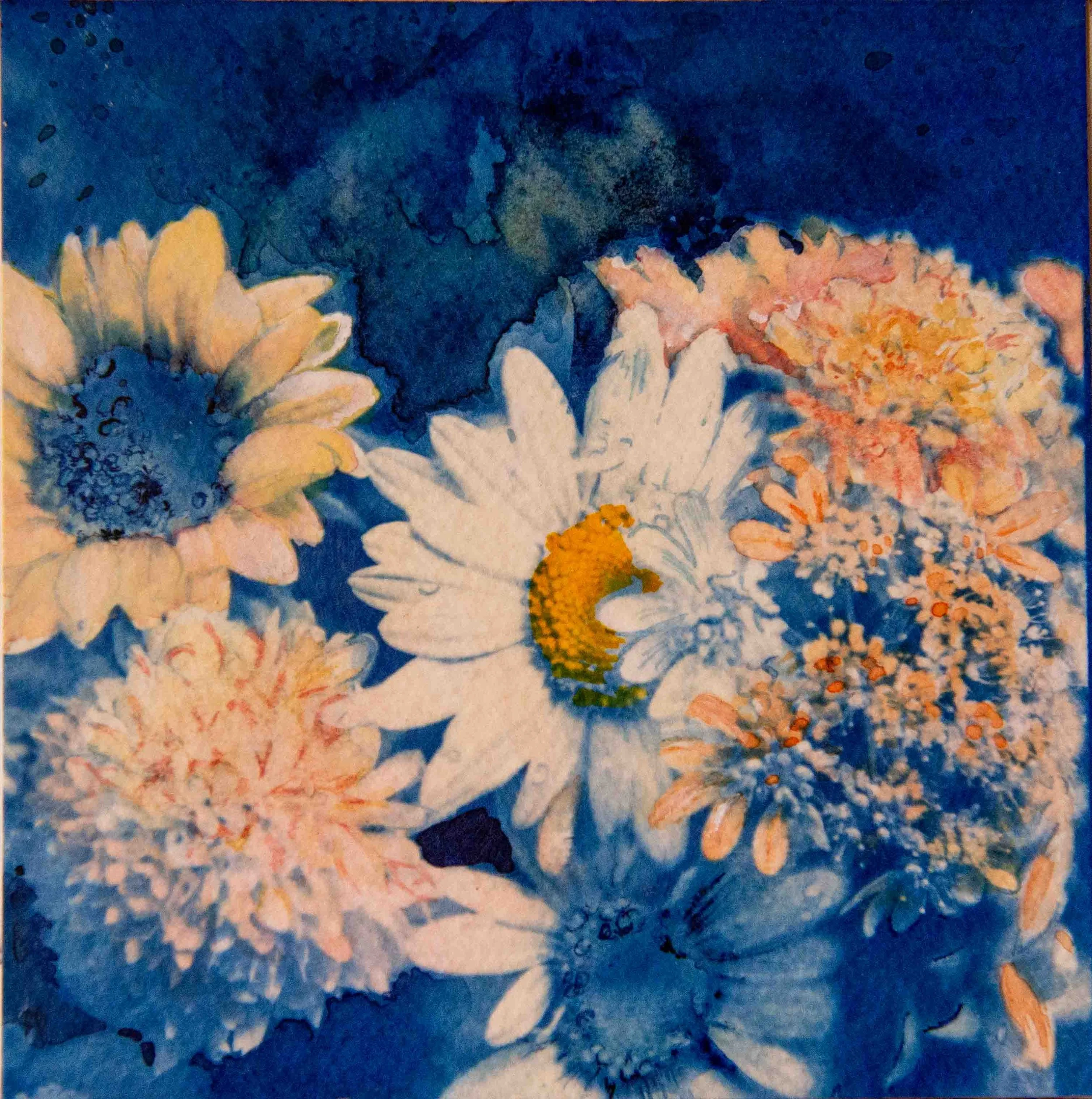 cyanotypes-20.jpg