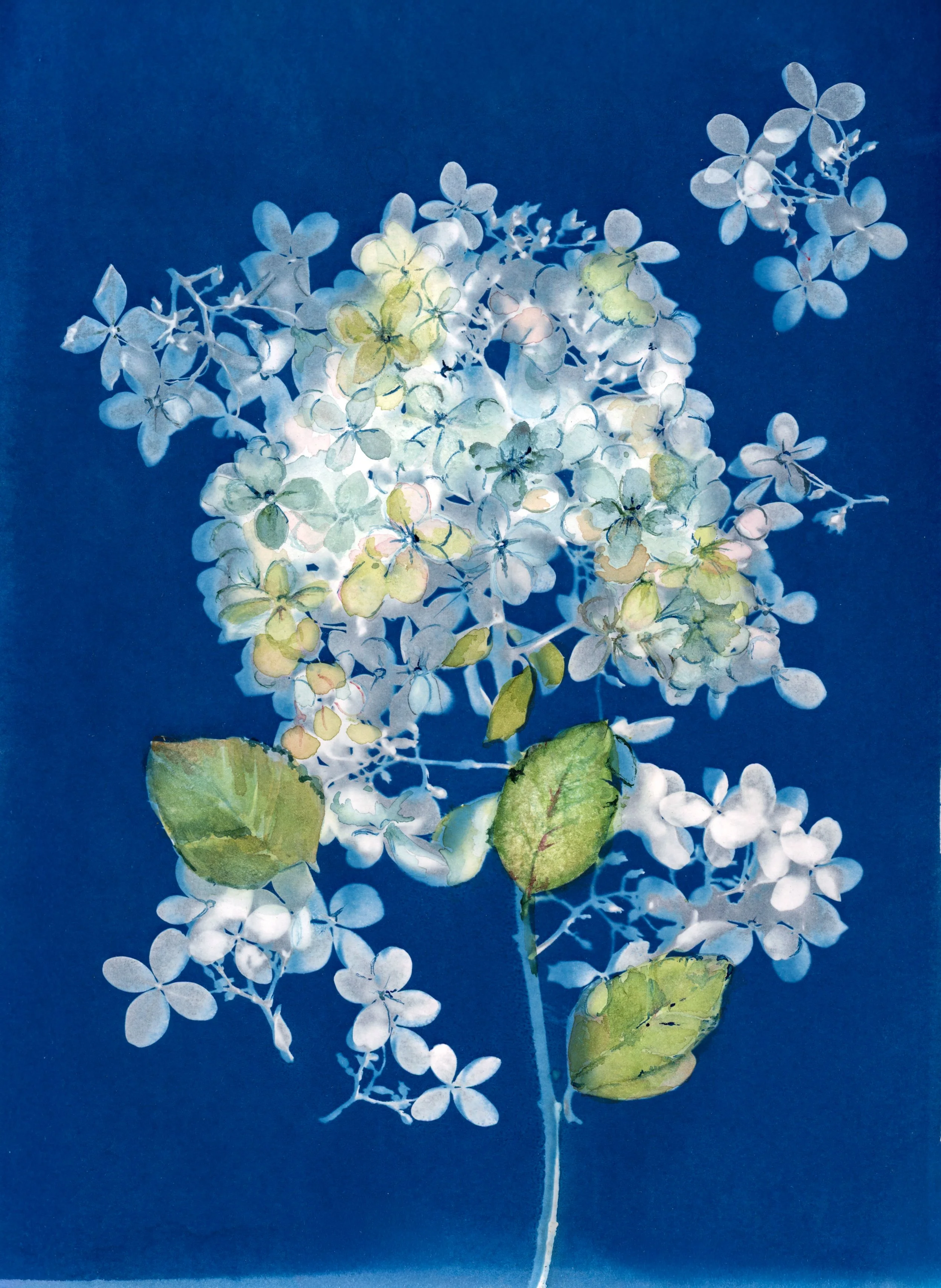 available art-8.jpg
