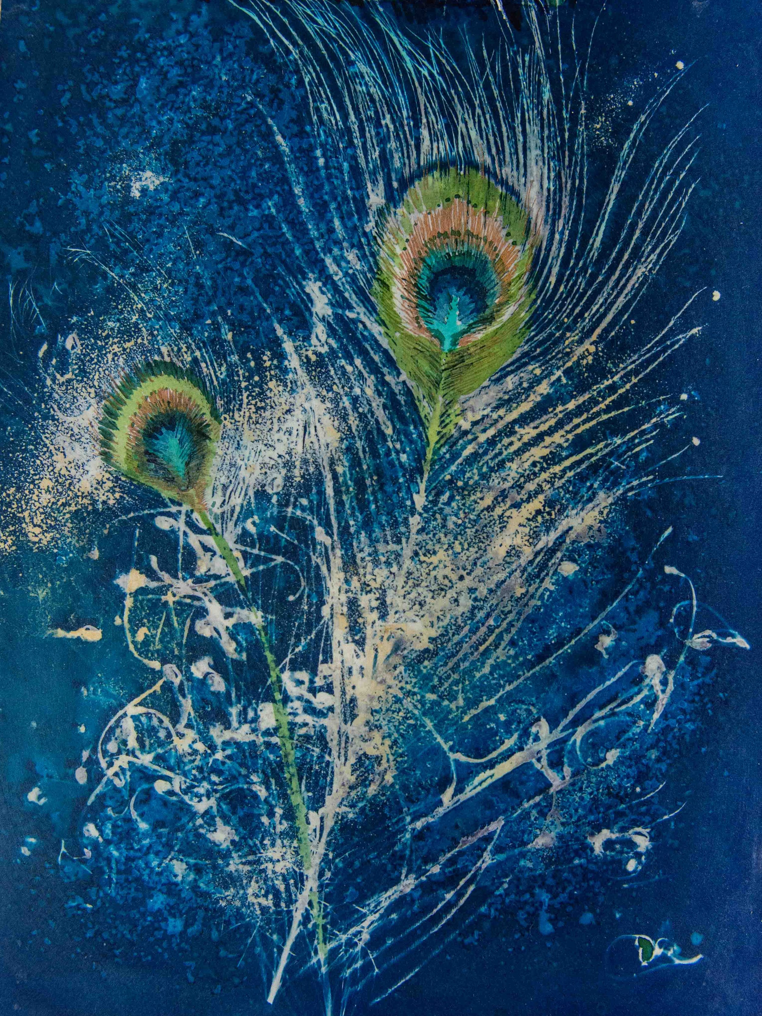 cyanotypes-5.jpg