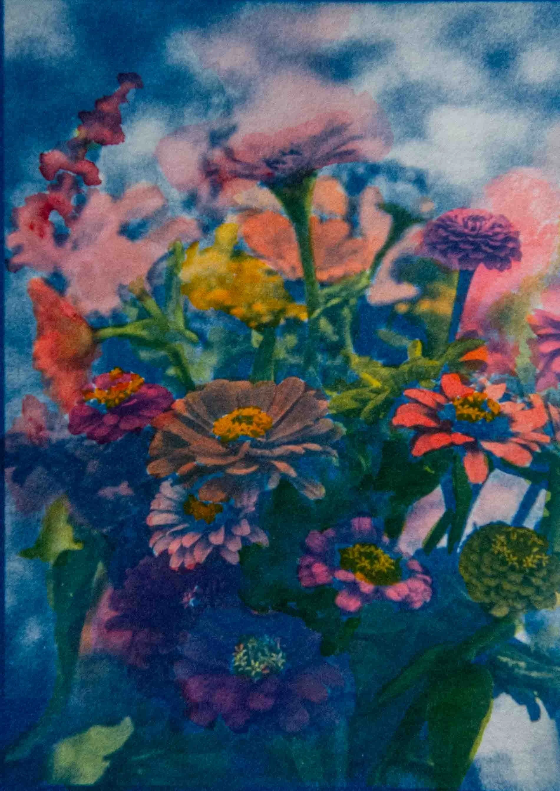 cyanotypes-22.jpg