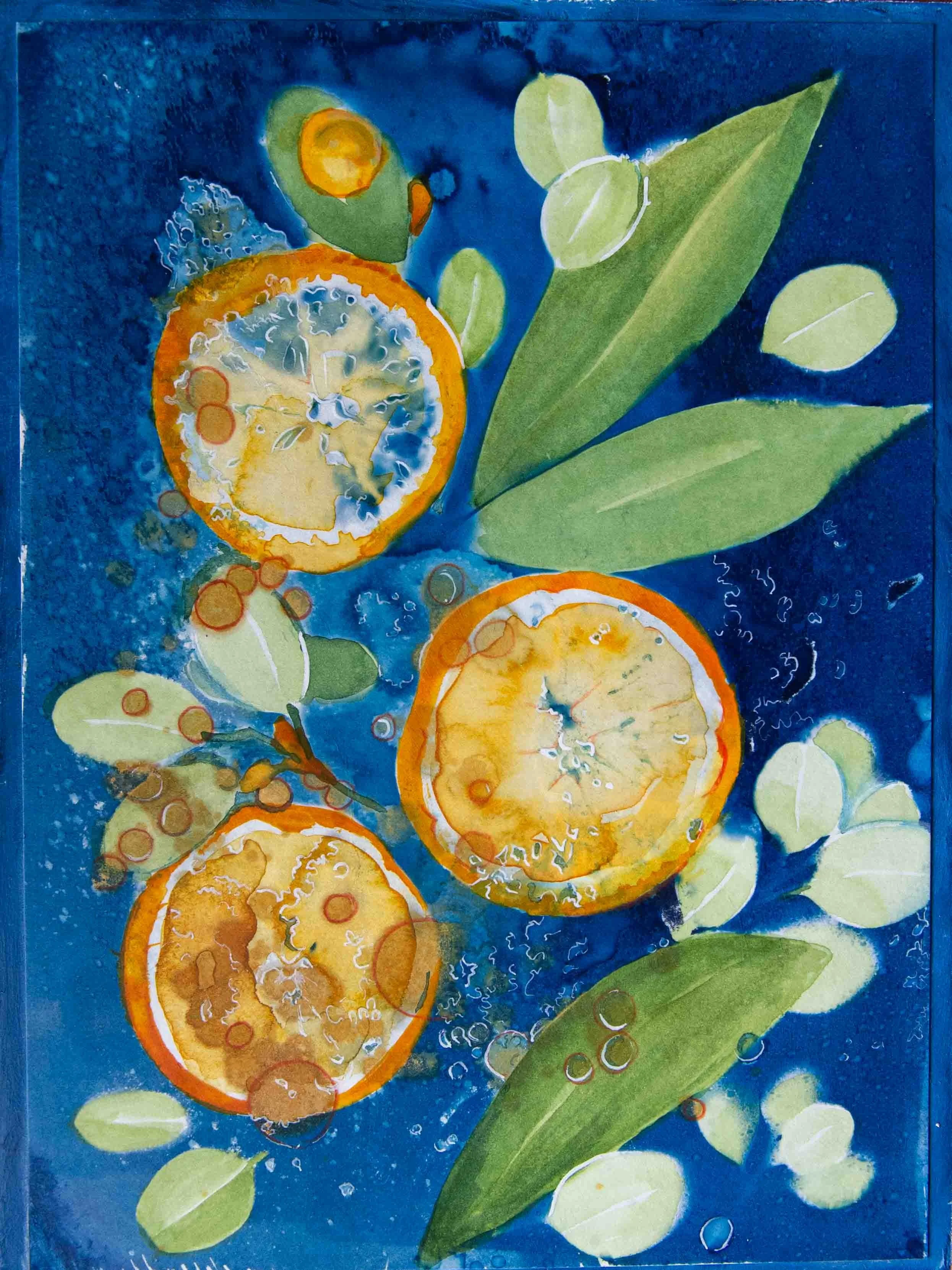 cyanotypes-8.jpg