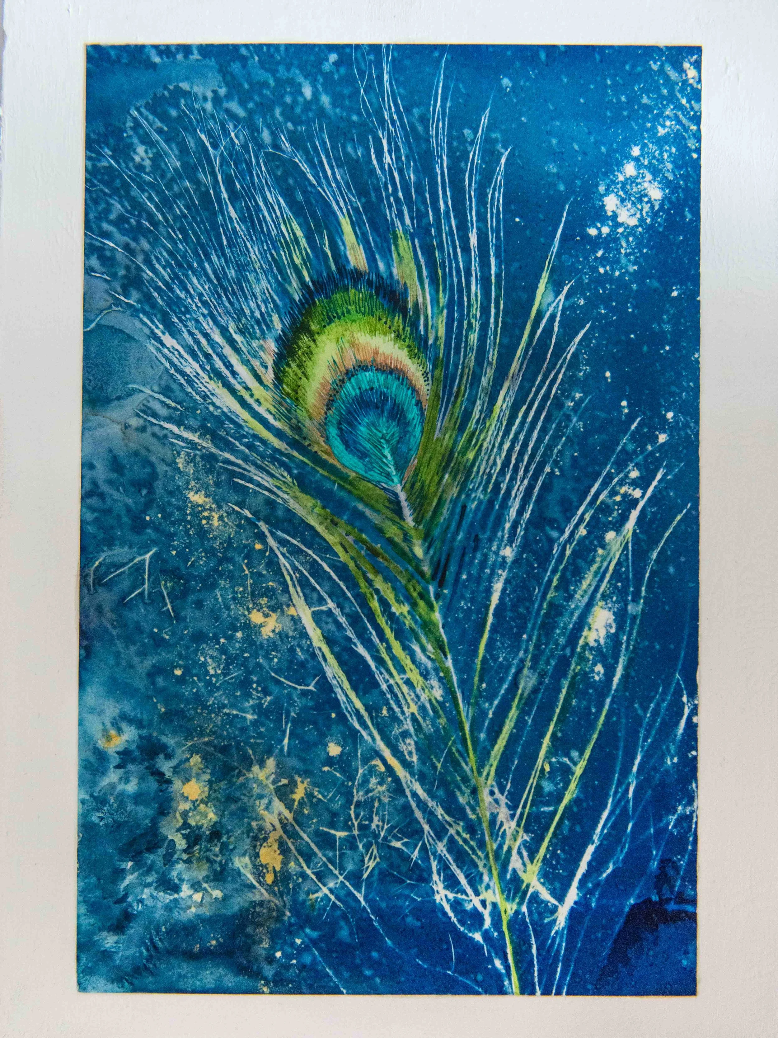 cyanotypes-2.jpg