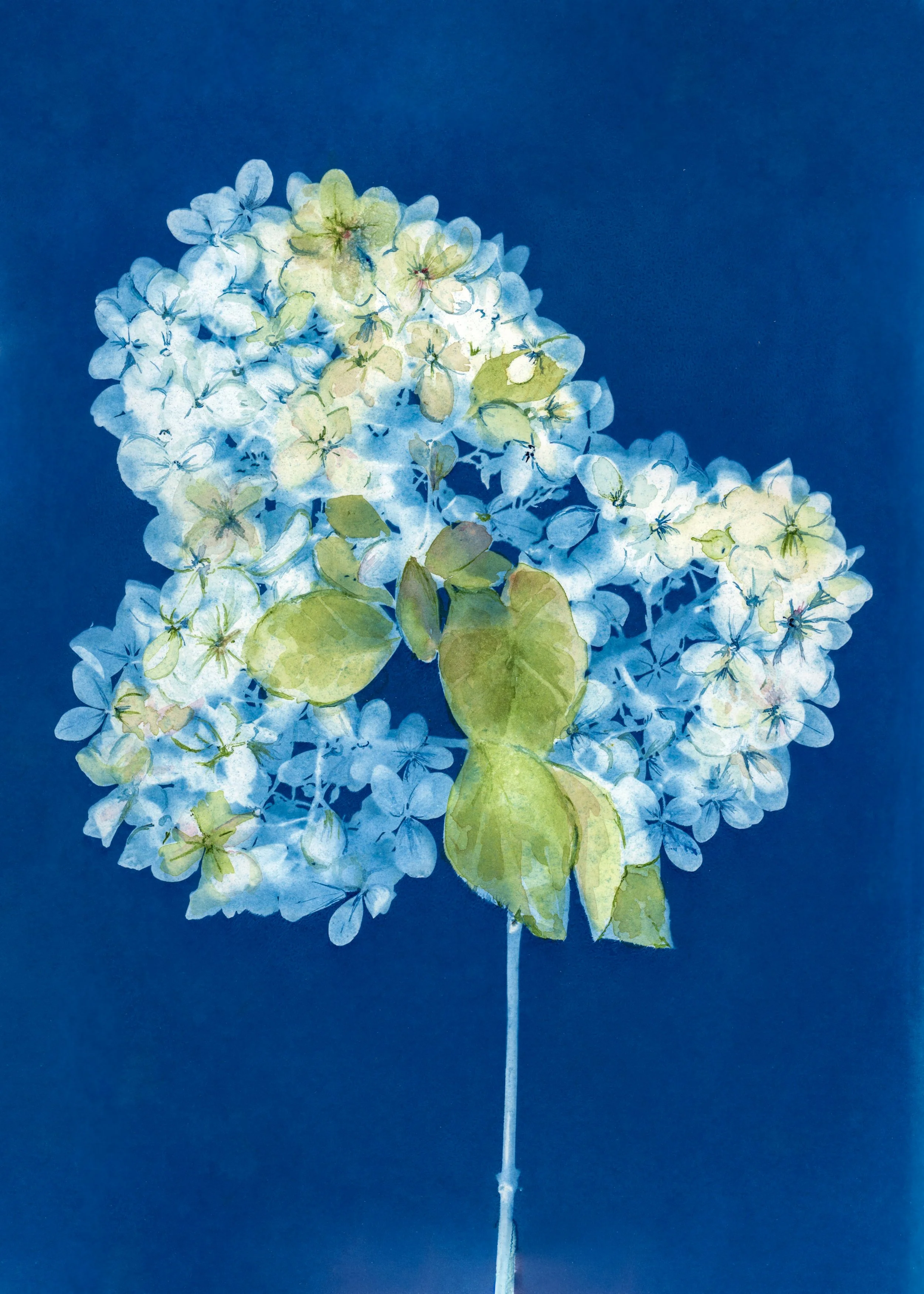 available art-7.jpg