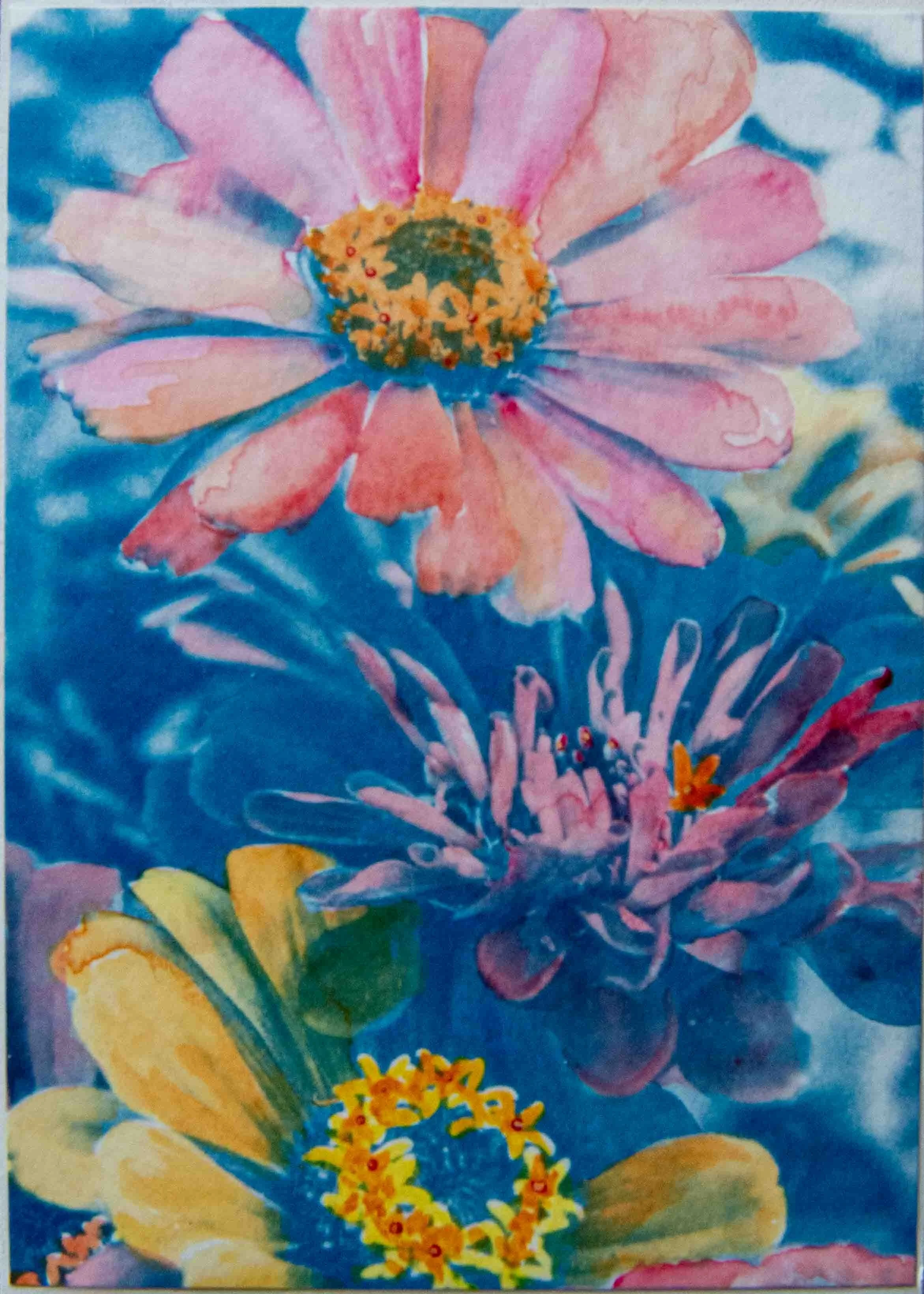 cyanotypes-13.jpg