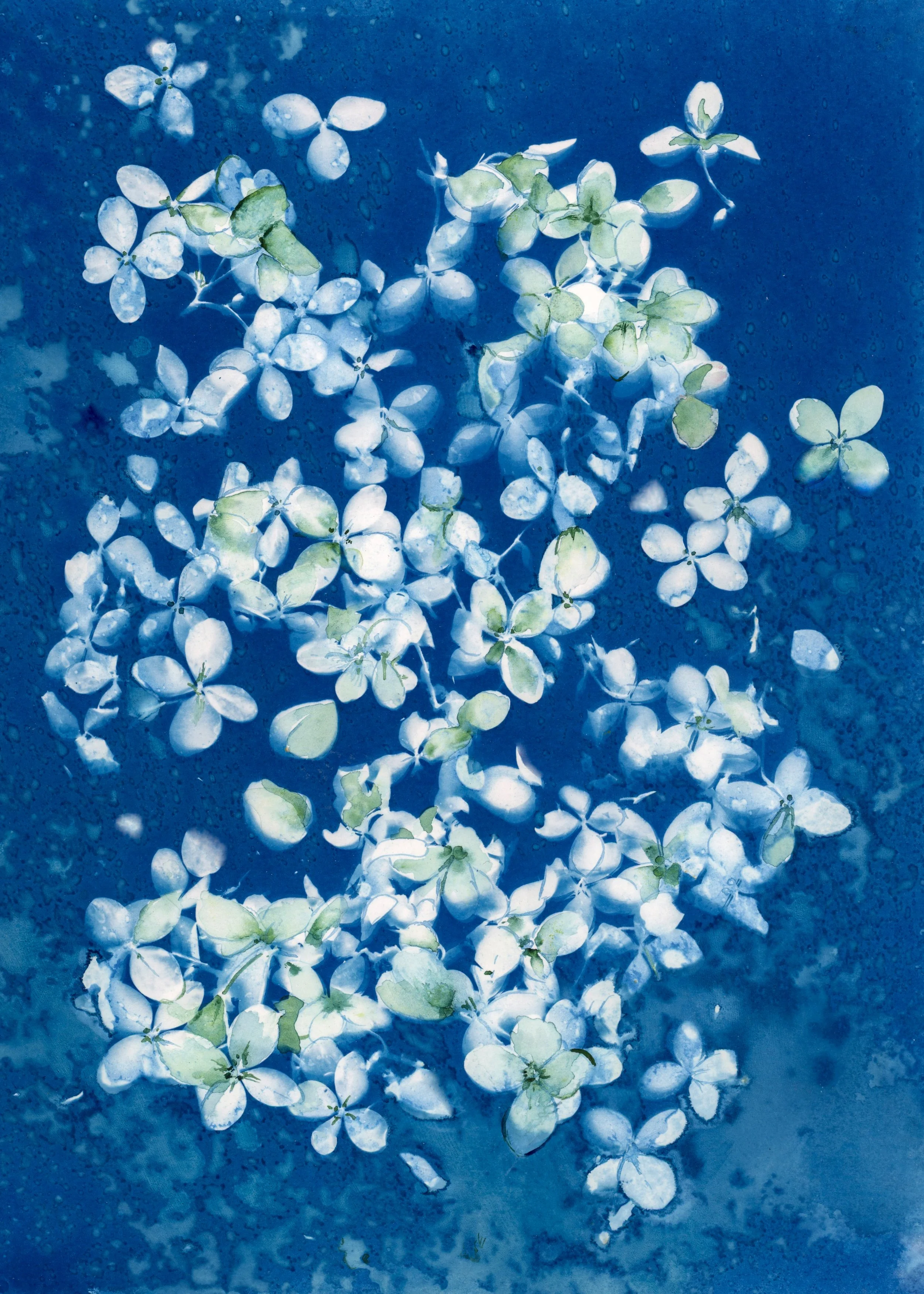 available art-2.jpg