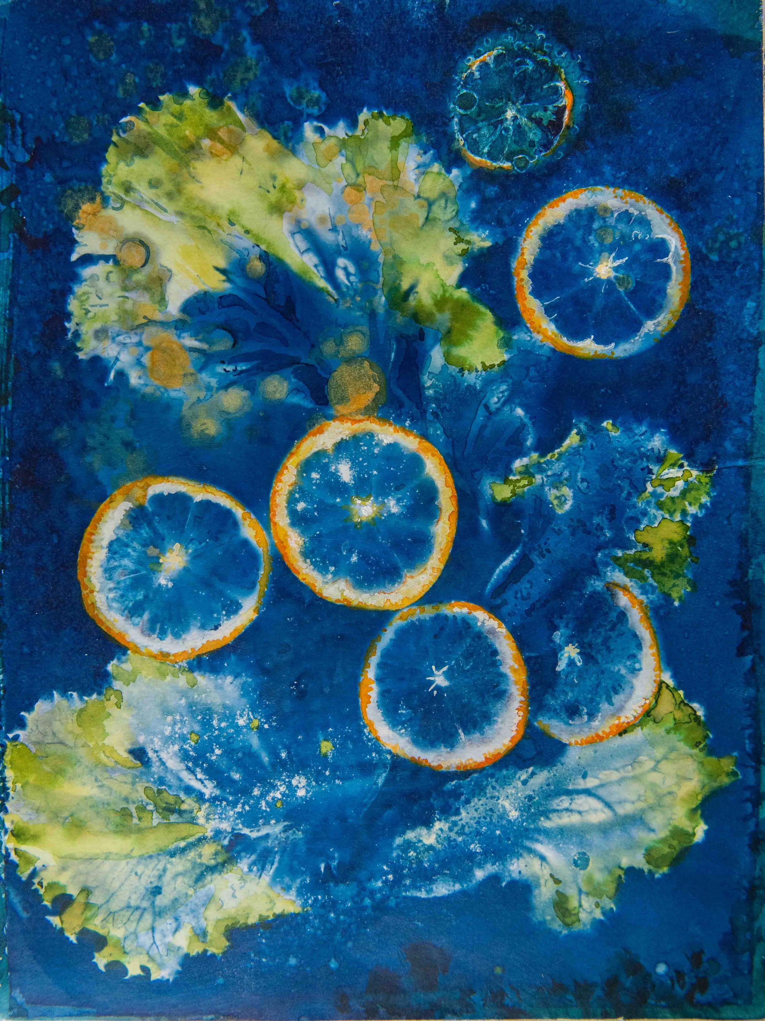 cyanotypes-1.jpg