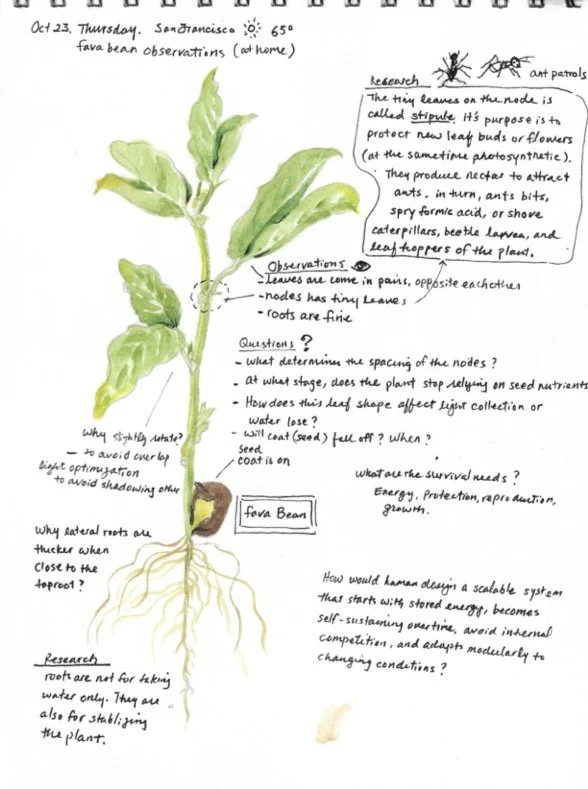 Book1 (dragged) 8.jpg